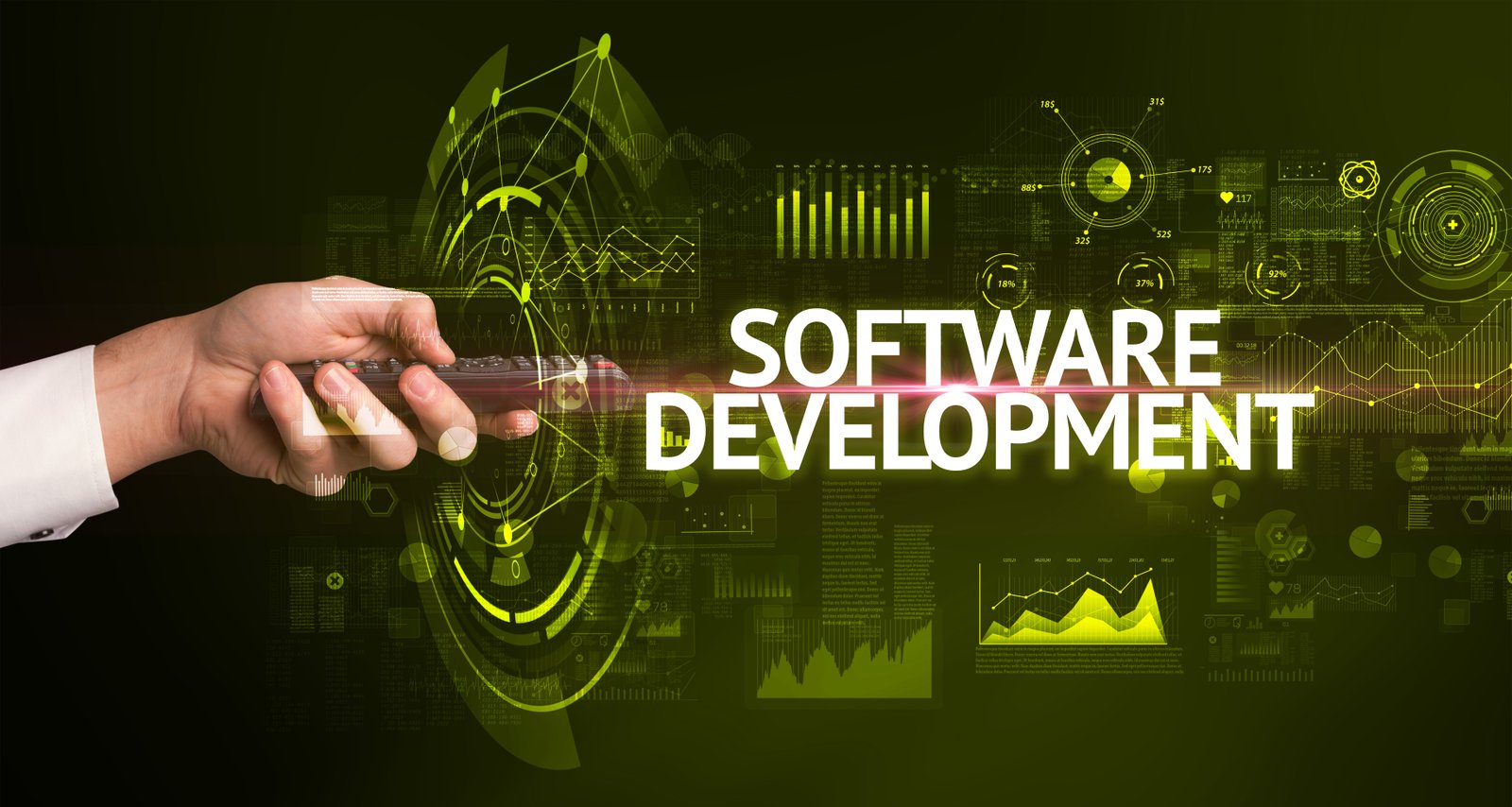 Software Development