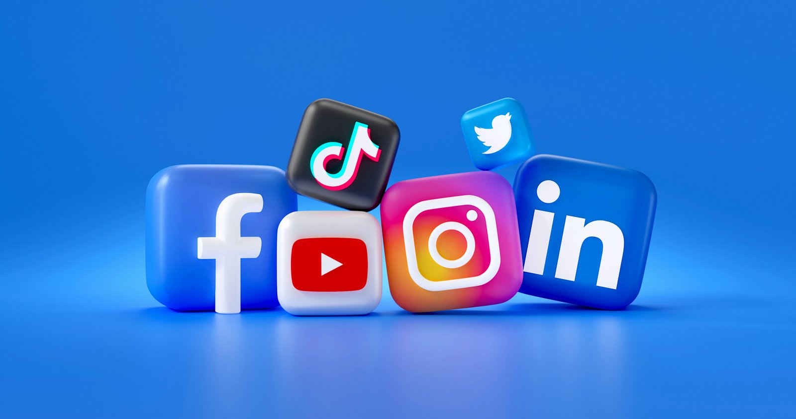 SEO & SMM
